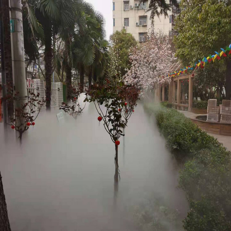 扬州人造雾系统安装
